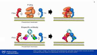 Chromogenic Factor VIII and IX Assays Impact on Diagnosis and Management of Hemophilia [upl. by Ilona386]