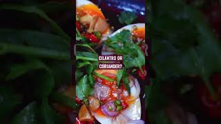 Cilantro vs Coriander what is the difference [upl. by Inajar]