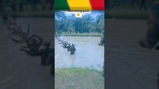 Ghana army training 🇬🇭 armytraining ghanaarmedforces security [upl. by Web]