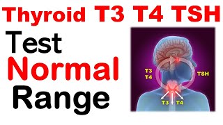 Thyroid t3 t4 tsh normal values  Thyroid test normal range [upl. by Kylen606]