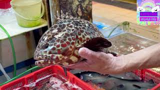 Best seafood at Taipo Hui Market 大埔墟街市尋找至靚海鮮，輕鬆煮海鮮大餐 [upl. by Geordie]