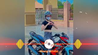 EDM Dj Salting remix  Dj Thai Lan remix  EDM Hot Trend TikTok Gây Nghiên 2023 [upl. by Ahsiad101]