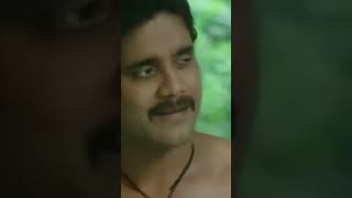 Raghava Lawrence Or Nagarjuna Ko Mazedar Scene donno1 raghavalawrence nagarjuna anushkashetty [upl. by Ardnyk957]