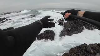 Captura de robalo de forma anormal e descravagem dum bom peixe 😡😡😡 [upl. by Bastien]