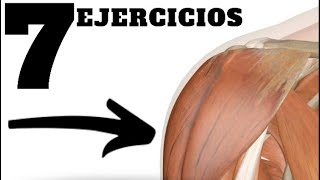 🏋🏻‍♀️ 7 ejercicios para aumentar la estabilidad del hombro [upl. by Fergus]