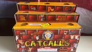 “CATCALLS” FIREWORK FOUNTAIN by BROTHERS [upl. by Lyssa938]