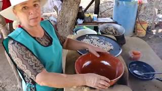 Mole de Pollo Estilo Jalisco  Sazón del Rancho RECETA [upl. by Tremann]