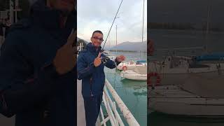 PESCO SOLO CON MEZZA CANNA fishing perch fish angler [upl. by Brena]