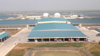 One of the biggest farms in the world [upl. by Ashien]