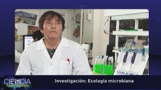 Ecología microbiana [upl. by Lerrud150]