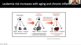 Sphingosine1phosphate signaling modulation for the treatment of acute myeloid leukemia AML [upl. by Eugirne]