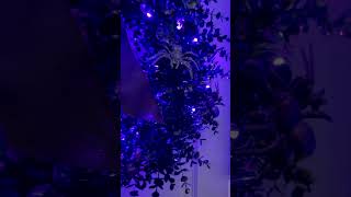 The Illuminated Spirit Of Halloween Swag amp Wreath [upl. by Bandler]