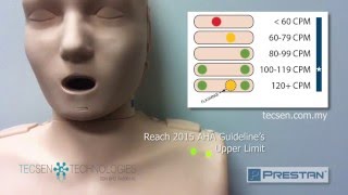 PRESTAN CPR Training Manikin meets 2015 AHA CPR Guidelines [upl. by Raquela]