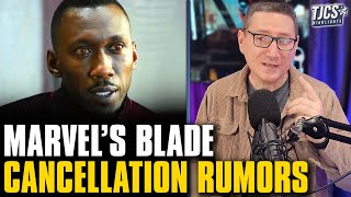 Marvel Has Cancelled Blade Rumors As Disney Pulls It From Schedule [upl. by Yennep]