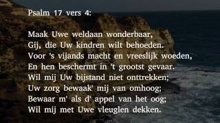 Psalm 17 vers 3 4 en 8  Ik zet mijn treden in Uw spoor [upl. by Ellennaj]