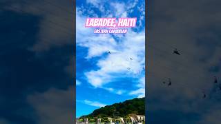 🛳️ AMAZING PORTS of CALL Labadee 🇭🇹 travel shorts cruise haiti ports [upl. by Raamal]