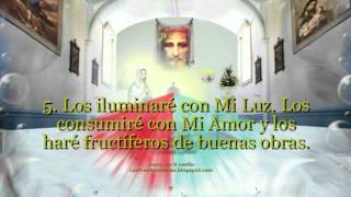 Devoción a la Santa Faz de Nuestro Señor Jesucristo la moneda Celestial [upl. by Nimajeb]