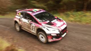 Cambrian Rally 2024  Action from the Clocaenog Stage  SS25 [upl. by Eycats]