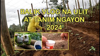 BALIK VLOG NA ULIT AT TANIM NGAYON 2024 [upl. by Nagaek]