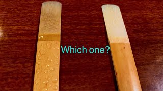 Wet vs dry clarinet reed bird clarinet [upl. by Preiser]