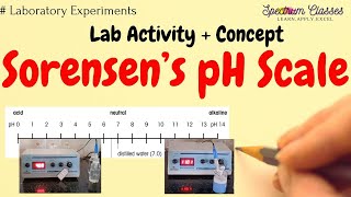 Sorensens pH Scale  pH Scale  Trick to remember pH for Acid and Base  Class 12 and pharmacy [upl. by Yellah]