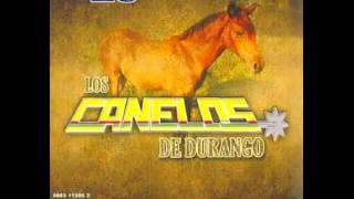 Canleos de durango 20 canelazos disco completo [upl. by Ocirnor489]