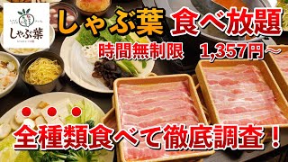 【全種類食べます】みんな知ってる？しゃぶ葉でやってる時間無制限の激安ランチ食べ放題！攻略法を徹底調査！ [upl. by Baptlsta912]