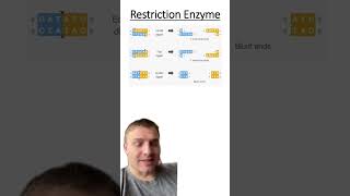 Restriction Enzymes [upl. by Leorsiy]