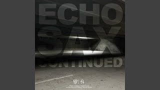 Echo Sax Continued [upl. by Yeh]