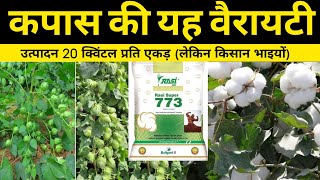 Rasi Seeds 773 Hybrid Variety  Cotton  cotton ki kheti [upl. by Devehcoy]