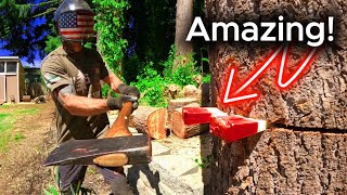 Cutting Down A Tree  Use a Tree Wedge Cheap amp Effective [upl. by Atauqal]