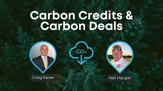 Carbon Credits amp Carbon Deals [upl. by Blondie]