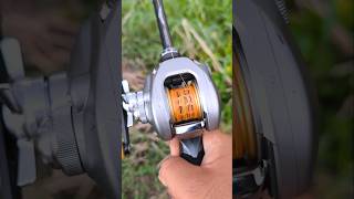 Team DaiwaZ Custom reel shots daiwa daiwareels shortvideo short [upl. by Kohl999]