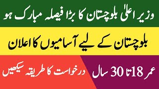 Balochistan Latest Jobs Today  Balochistan new jobs 2024  Pak Job Career 10 [upl. by Aiel]