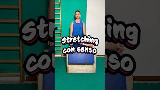 STRETCHING PER IL PIRIFORME SENZA ERRORI learncalisthenics perte fitness mobility tutorial ✨ [upl. by Iddo]