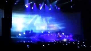 indochine black city tour lyon 2013 le reportage video [upl. by Keldah219]