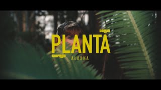 Dalsin Adonai  PLANTA GioProd [upl. by Ainitsirc]