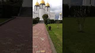 Raven chases cat away saving 2 magpies [upl. by Innad]