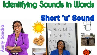 Identifying Sounds in Words  Short Sound u  CVC Words  Phonemic Awareness  Listening Skill [upl. by Nailij978]