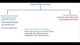 Microscopes lightphase contrast dark fieldamp electronscan amp gram stain neetaiimslab courses [upl. by Ennovehs]