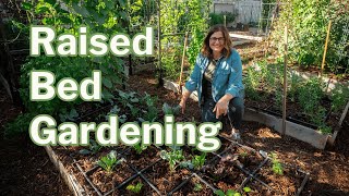 Raised Bed Gardening Top Questions Answered [upl. by Elinnet]