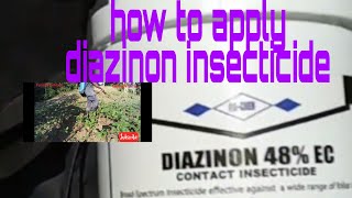 how to apply diazinon insecticides [upl. by Oloapnaig]