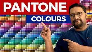 Learn What is Pantone Colour Graphic Design [upl. by Lashar190]