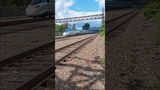 🔵Amtrak Avelia Liberty at the Bronx River Bascules shorts newyork speed urban graffiti city [upl. by Esya]