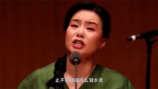 龚琳娜一首陕北民歌《走西口》声泪俱下！ [upl. by Maxim]