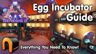 ARK Egg Incubator Guide And How To Use It ARK [upl. by Eppesiug413]