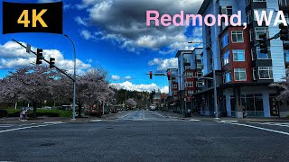 Downtown Redmond WA Driving Tour in Spring 2023 [upl. by Dru]