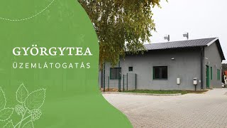 Minőség és biztonság ISO 22000 tanúsított gyártás a Györgyteánál [upl. by Elraet]