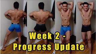 2 Week Cycle Update  Testosterone  Equipoise  Anavar cycle progress amp results [upl. by Nonie]