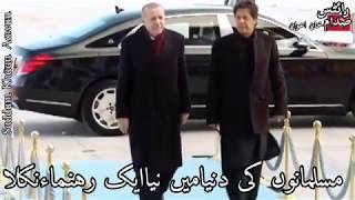 Alam lehra gaye is duniya mein Imran Khan and Tayyab Erdogan [upl. by Odlanra320]